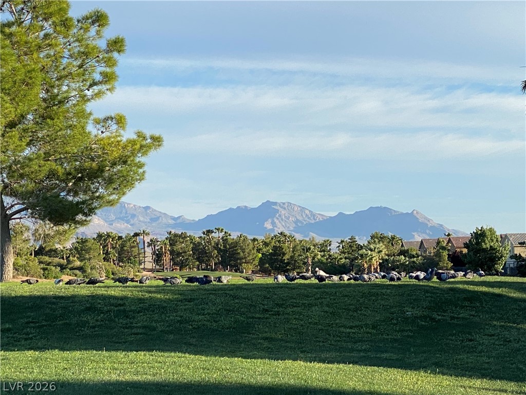 386 Apple River Court Las Vegas NV 89148