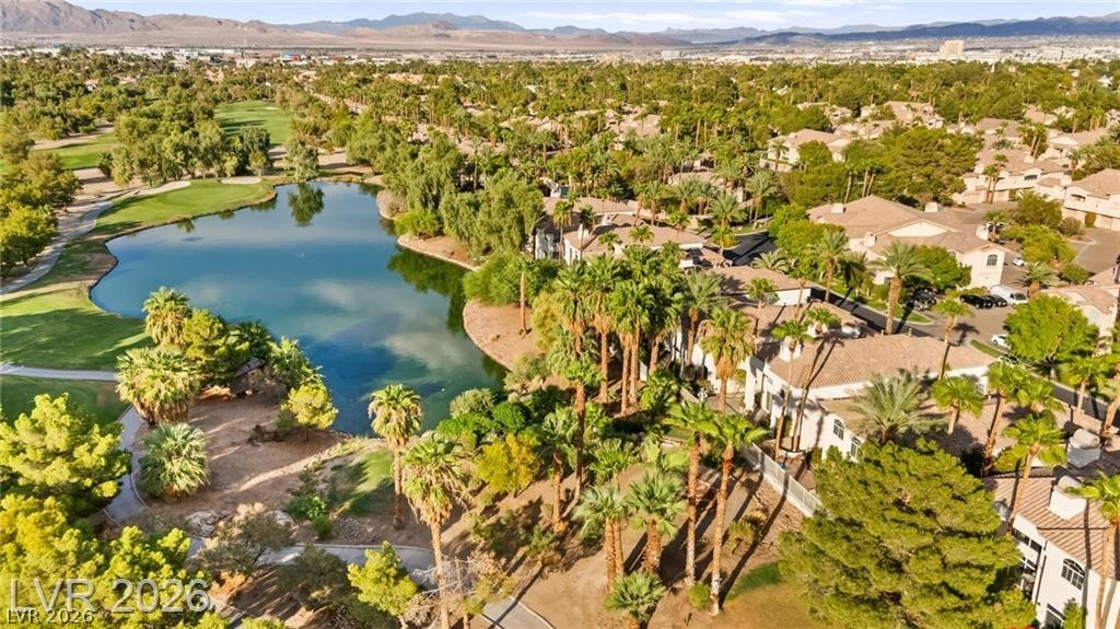 409 Indigo Springs Street Henderson NV 89014