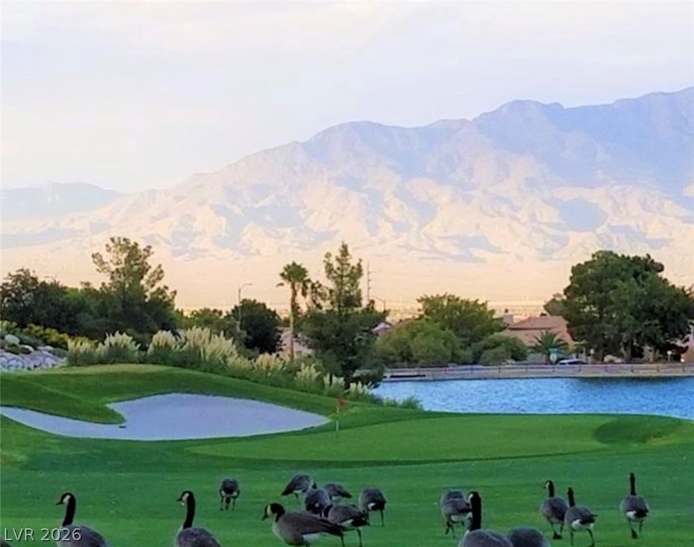 3020 Big Green Lane Las Vegas NV 89134