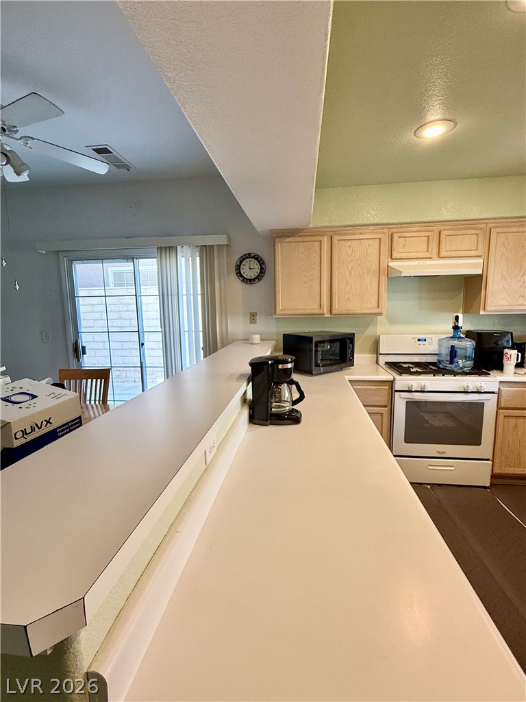 9295 Scenic Mountain Lane Las Vegas NV 89117