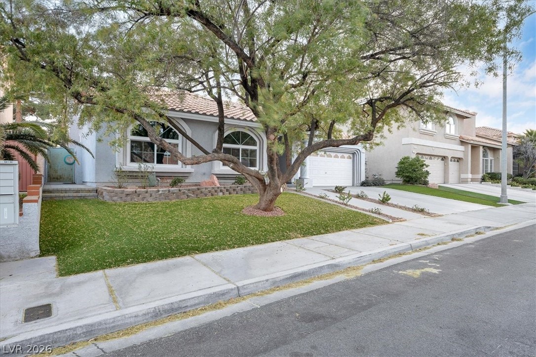 2405 Alpine Meadows Avenue Henderson NV 89074