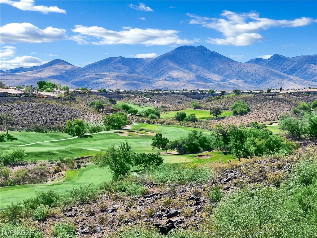 2900 Forest Grove Drive Henderson NV 89052