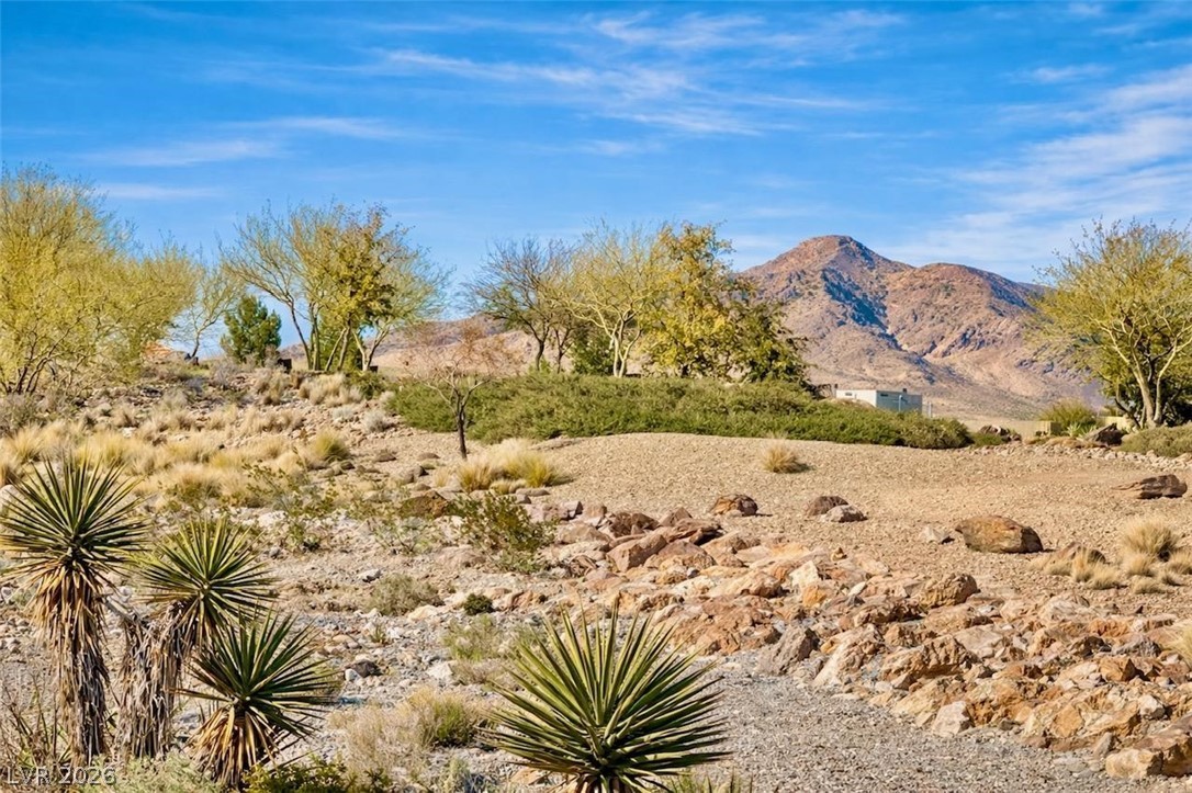 12492 Primrose Grove Lane Las Vegas NV 89138