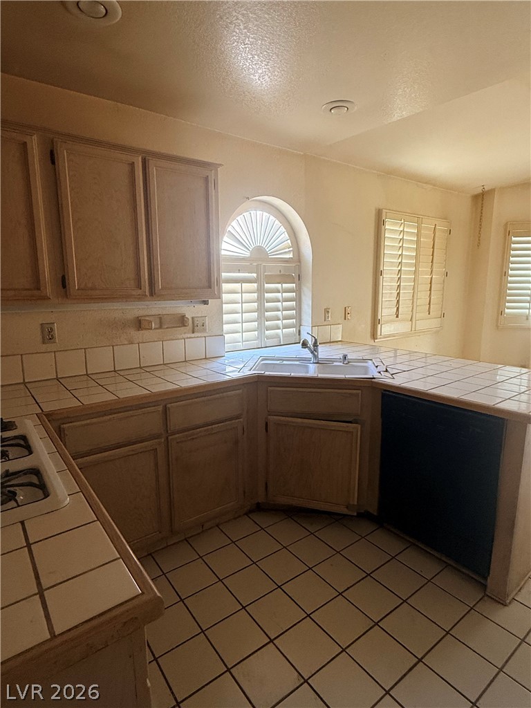 9713 Peacock Hill Circle Las Vegas NV 89117