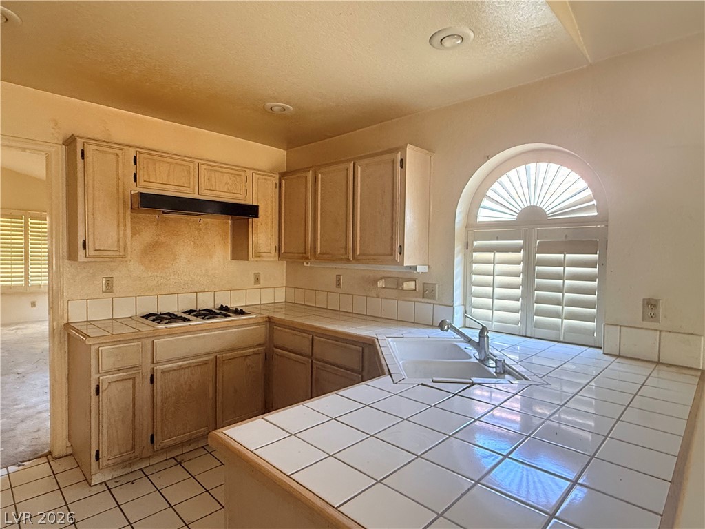 9713 Peacock Hill Circle Las Vegas NV 89117