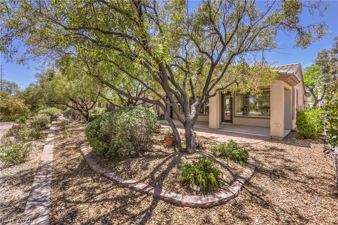 10266 Maggira Place Las Vegas NV 89135