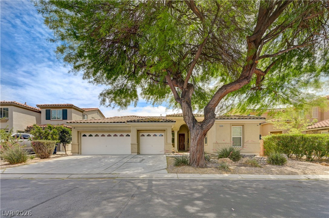 6438 Gilded Flicker Street North Las Vegas NV 89084
