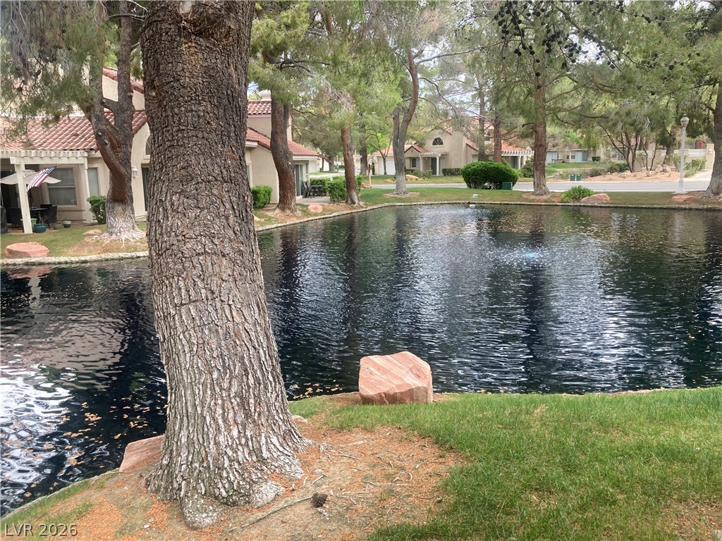 7061 Bright Springs Court Las Vegas NV 89113