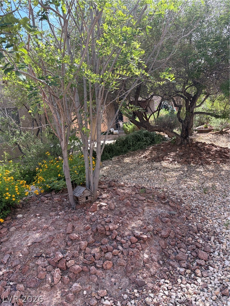 6131 Saddle Horse Avenue Las Vegas NV 89122