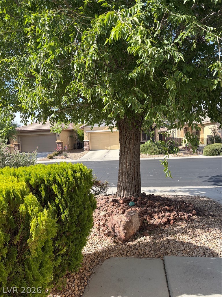 6131 Saddle Horse Avenue Las Vegas NV 89122