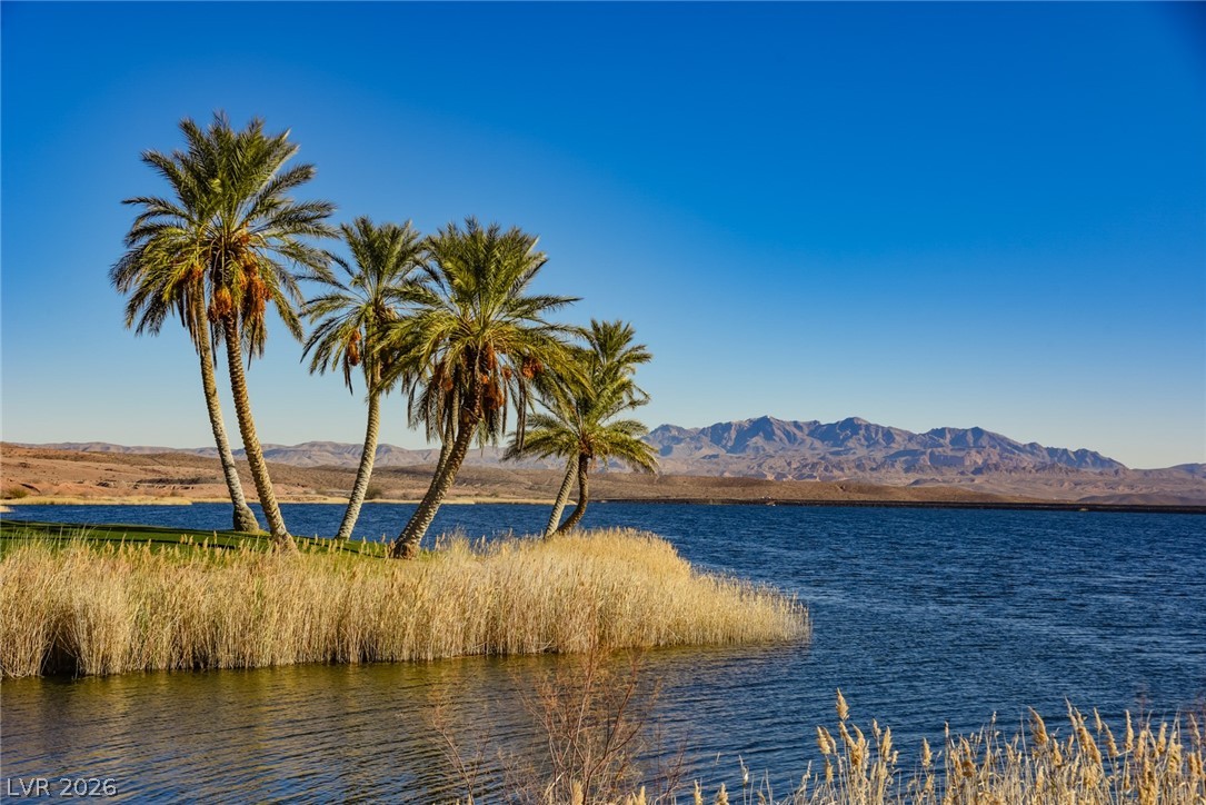36 Cliffwater Street Henderson NV 89011