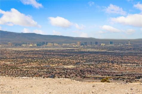 1124 Alpine Ledge Drive Henderson NV 89012