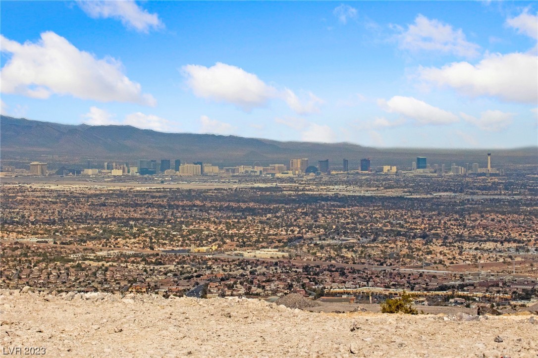 1124 Alpine Ledge Drive Henderson NV 89012