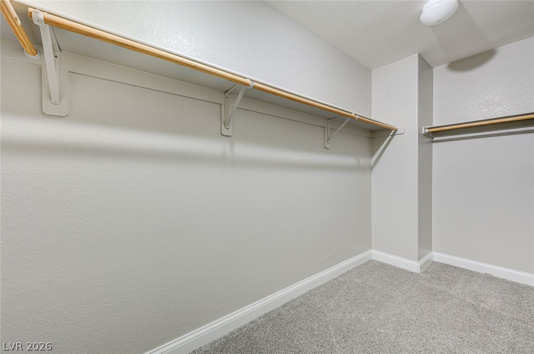 3869 Catlyn Woods Avenue Las Vegas NV 89141