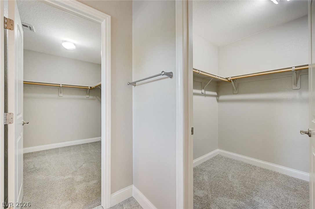 3869 Catlyn Woods Avenue Las Vegas NV 89141