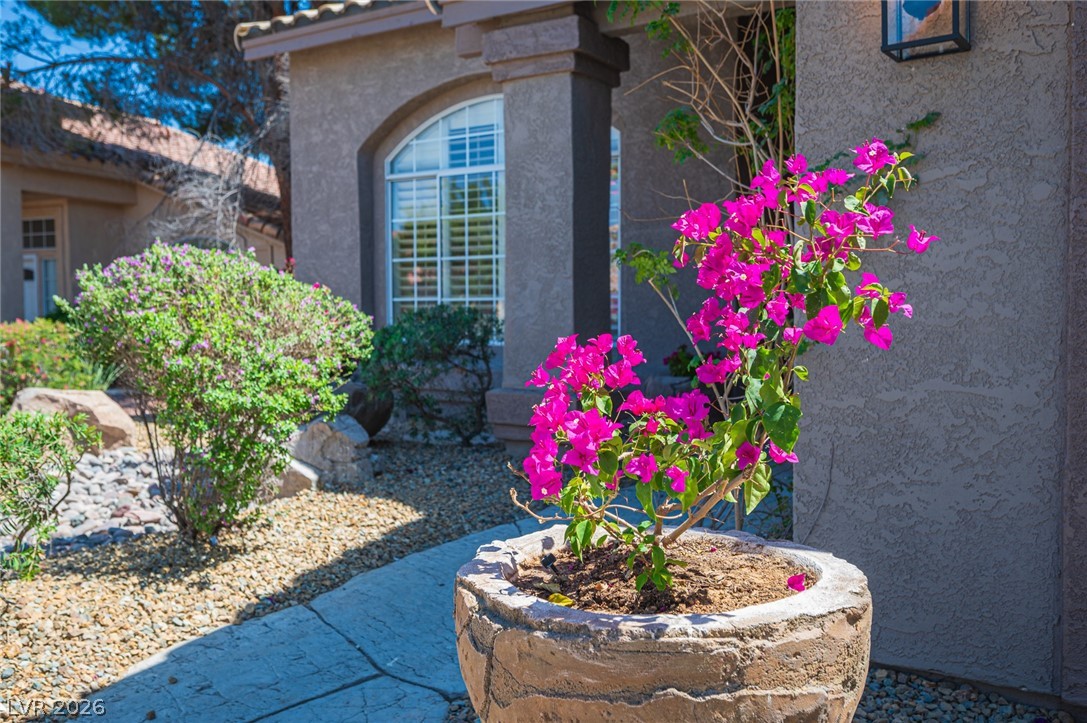 2037 Pinion Springs Drive Henderson NV 89074