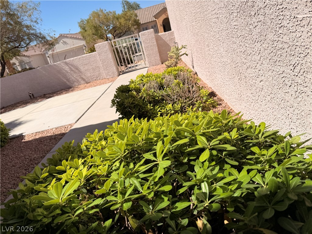 2557 Downeyville Avenue Henderson NV 89052