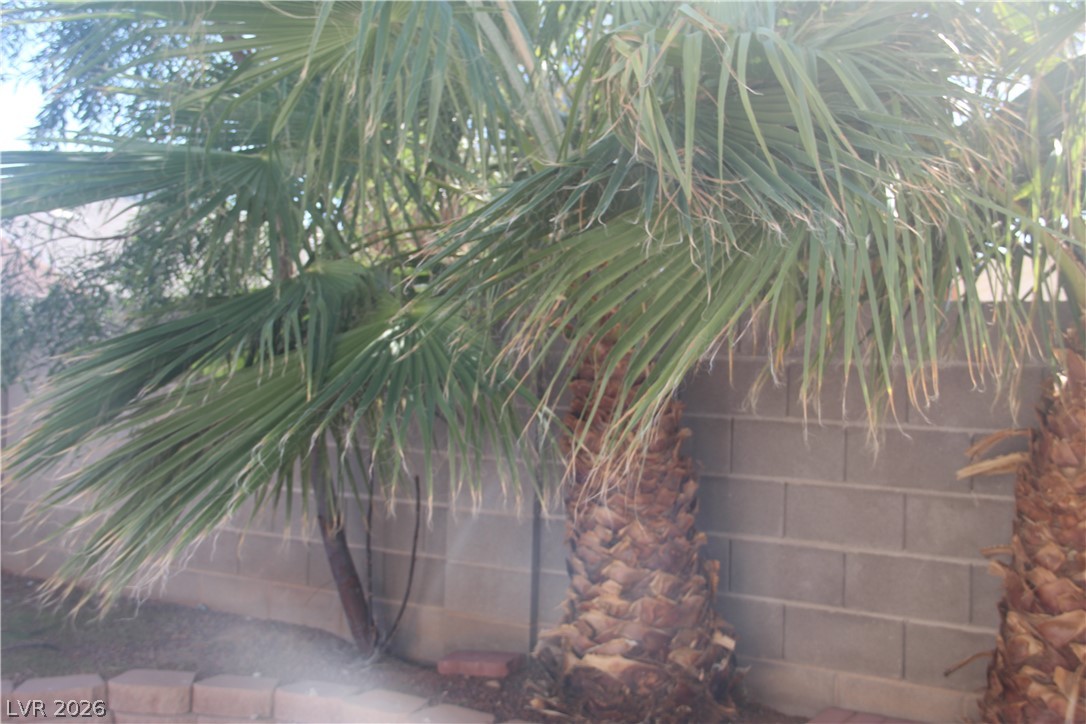 705 Alecandro Daniel Avenue North Las Vegas NV 89031