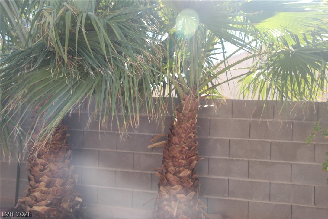 705 Alecandro Daniel Avenue North Las Vegas NV 89031
