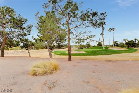 8941 Diamond Falls Drive Las Vegas NV 89117