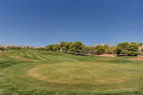 8941 Diamond Falls Drive Las Vegas NV 89117