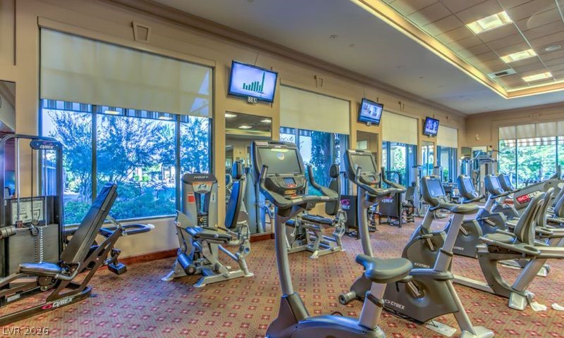 10532 Bambola Place Las Vegas NV 89135