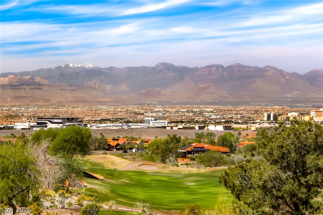 2001 Tulip Grove Court Henderson NV 89052