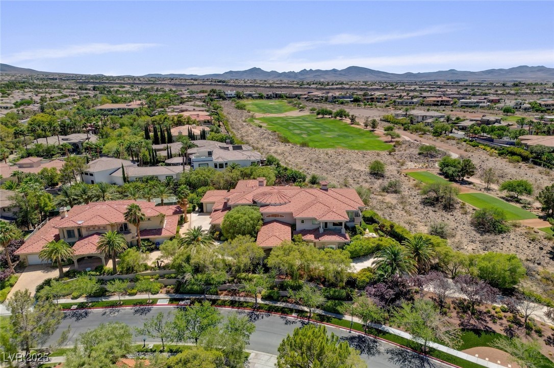 1541 Villa Rica Drive Henderson NV 89052