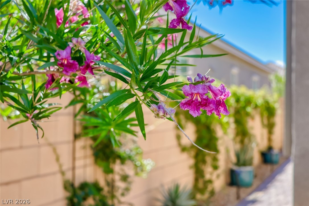 80 Tatahatso Point Street Henderson NV 89011
