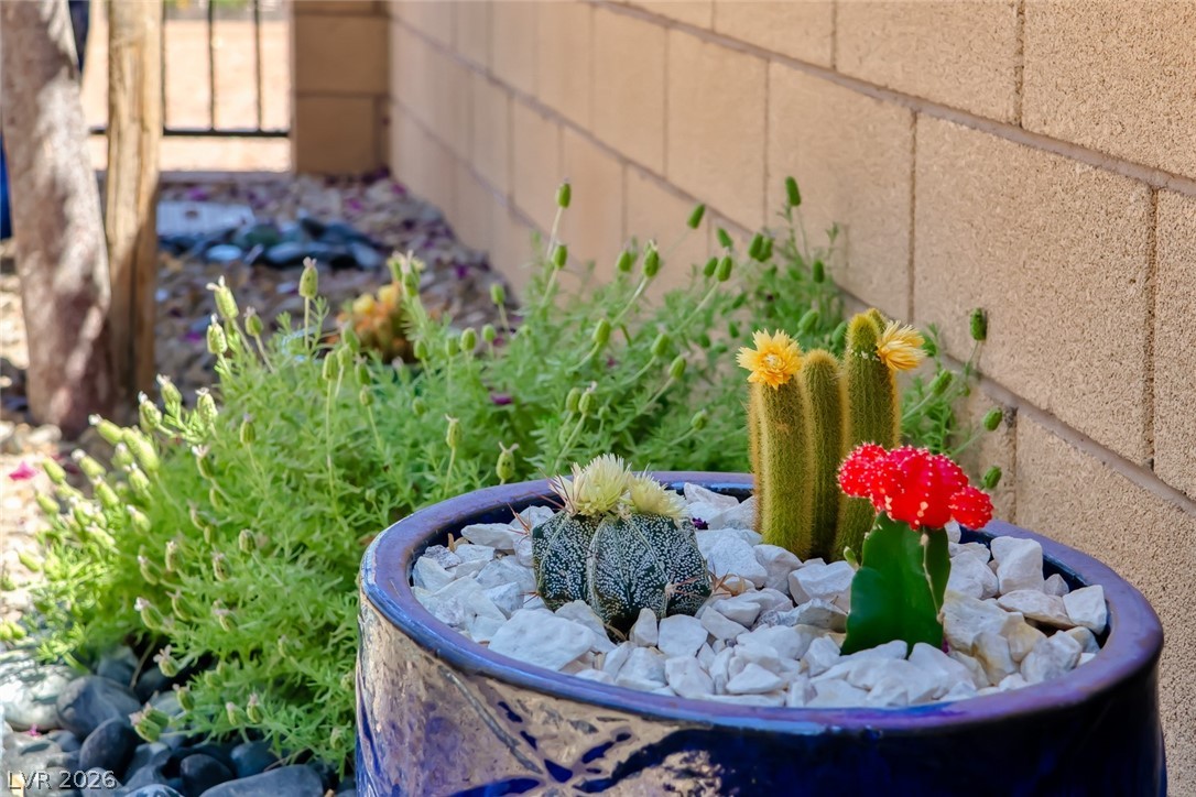 80 Tatahatso Point Street Henderson NV 89011
