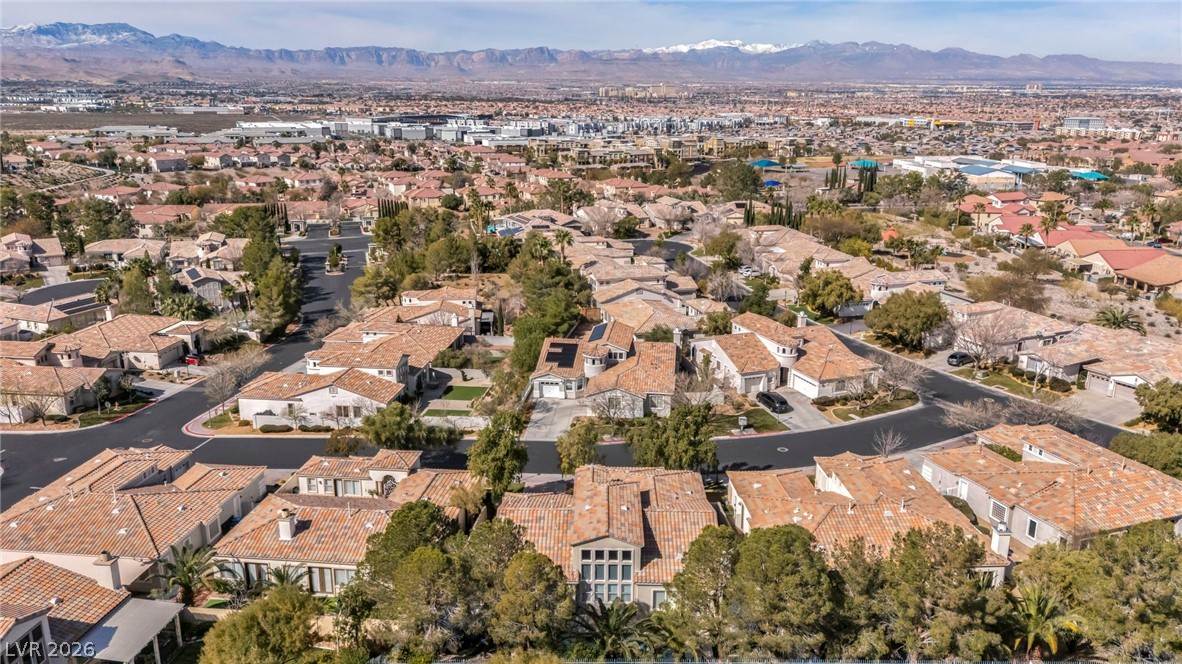 1128 Via Suzan Henderson NV 89052