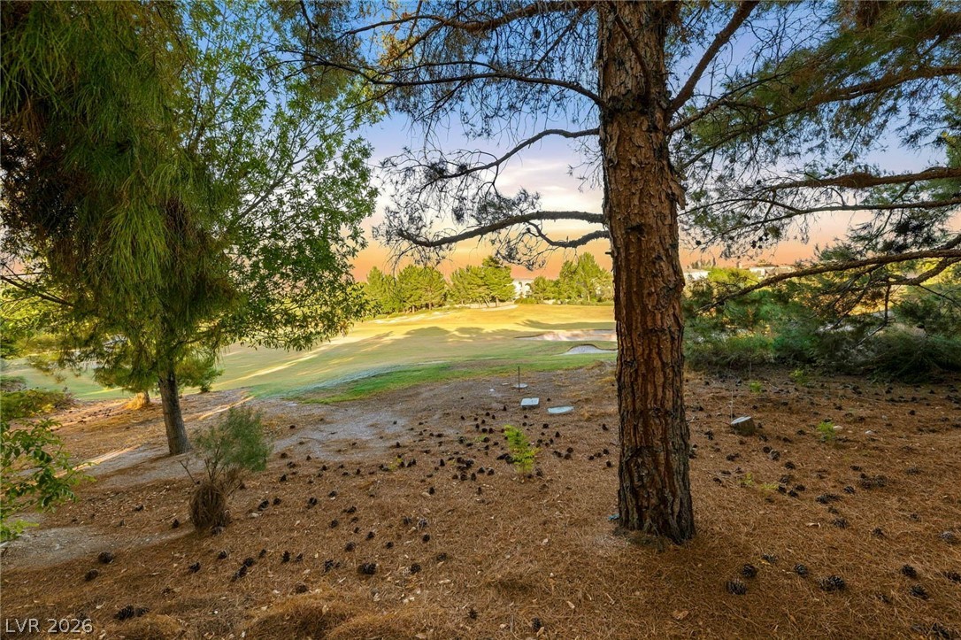 12056 Royal Dolnoch Court Las Vegas NV 89141