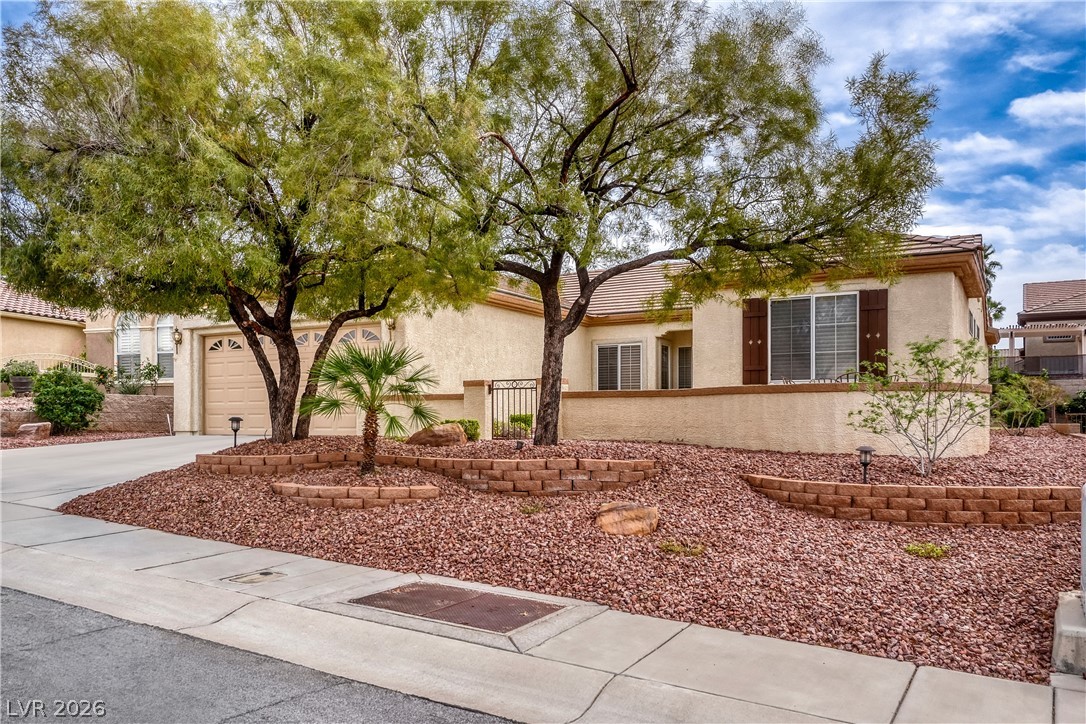 1684 Wellington Springs Avenue Henderson NV 89052