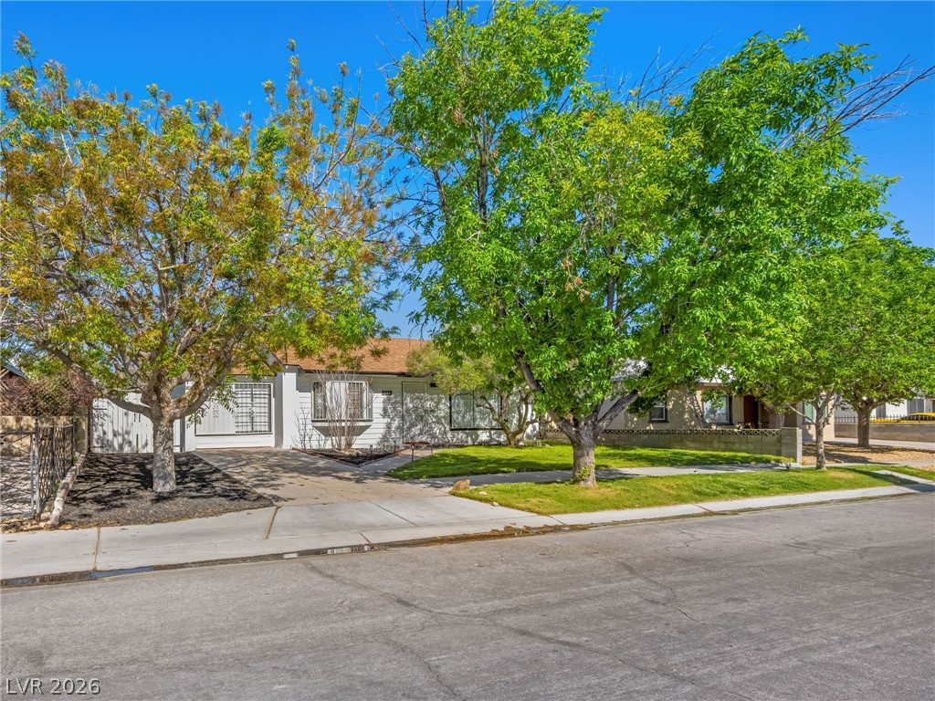 234 Earl Street Las Vegas NV 89101