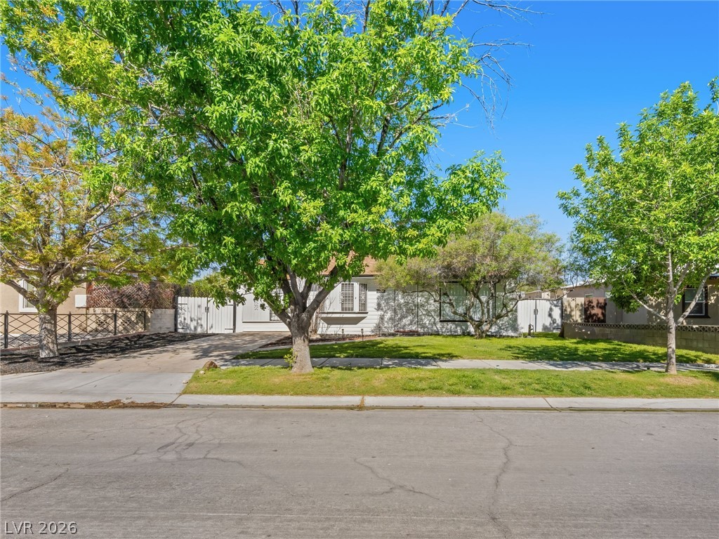 234 Earl Street Las Vegas NV 89101