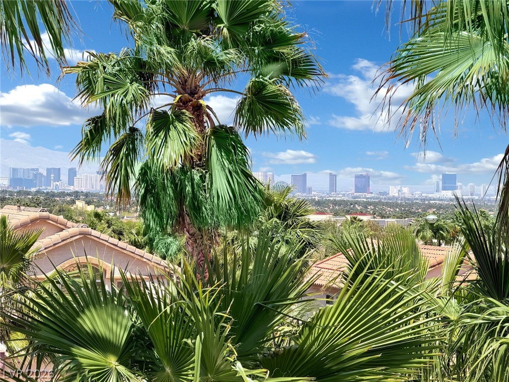 1494 Rancho Navarro Street Henderson NV 89012