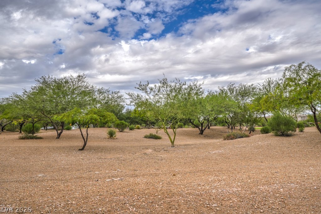 8684 Rowland Bluff Avenue Las Vegas NV 89178