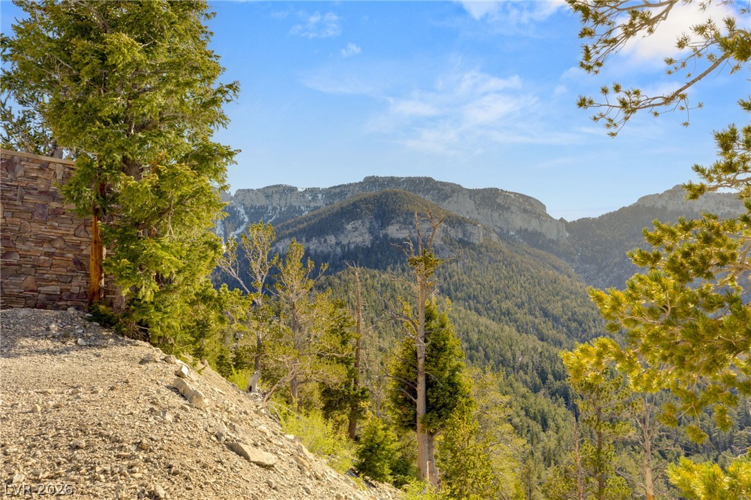 4910 Cougar Ridge Trail Las Vegas NV 89124