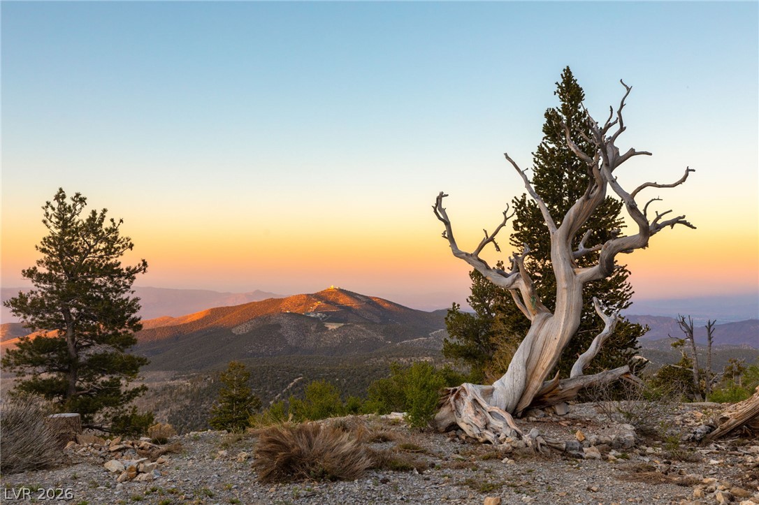 4910 Cougar Ridge Trail Las Vegas NV 89124