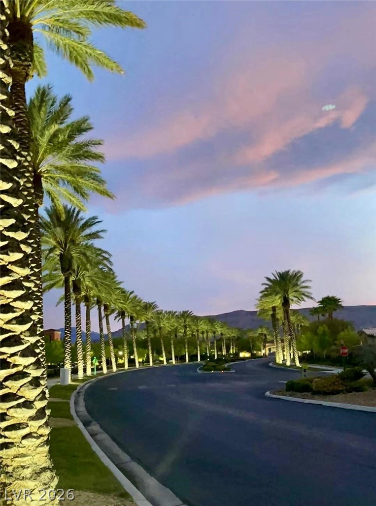 4596 Bersaglio Street Las Vegas NV 89135