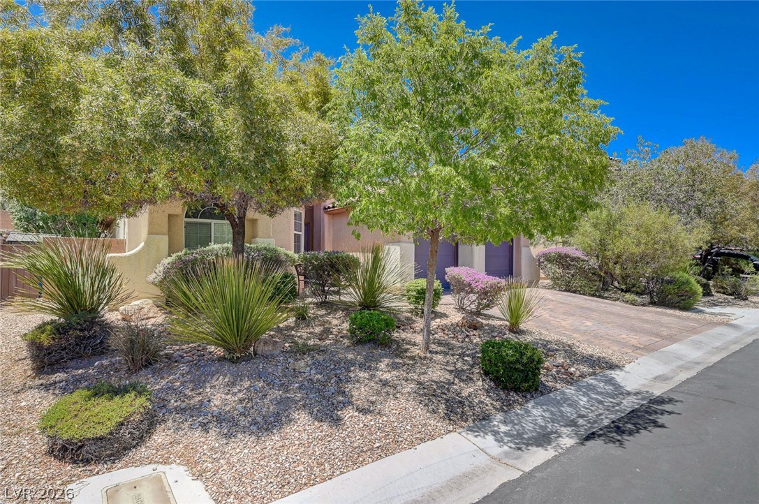 9717 High Alpine Street Las Vegas NV 89178
