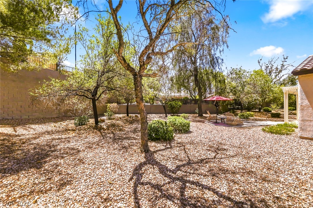 2213 Brighton Point Avenue Henderson NV 89044