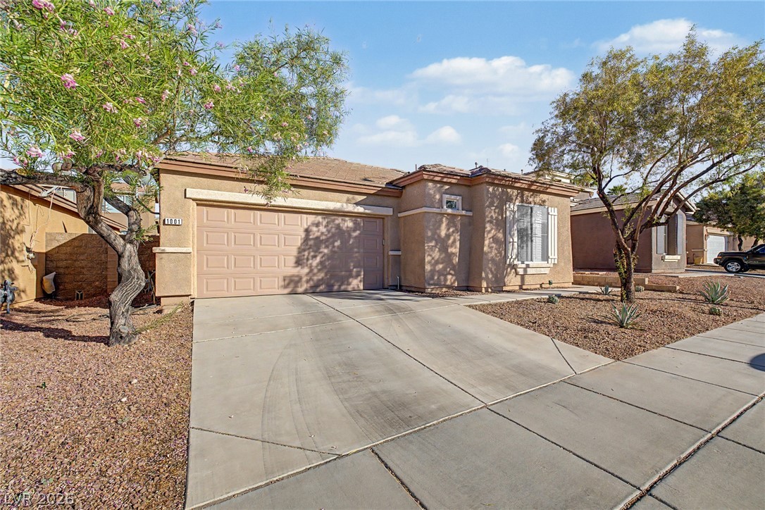 1001 Mackenzie River Avenue Henderson NV 89002