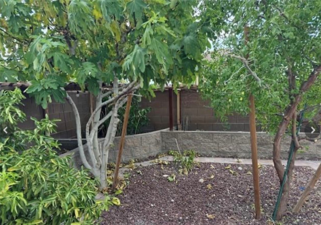 1630 Harvest Pecan Court Las Vegas NV 89108