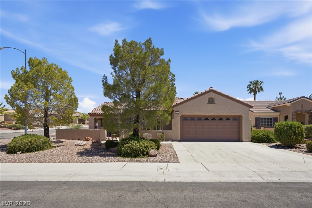 2314 Sand Lily Street Henderson NV 89052