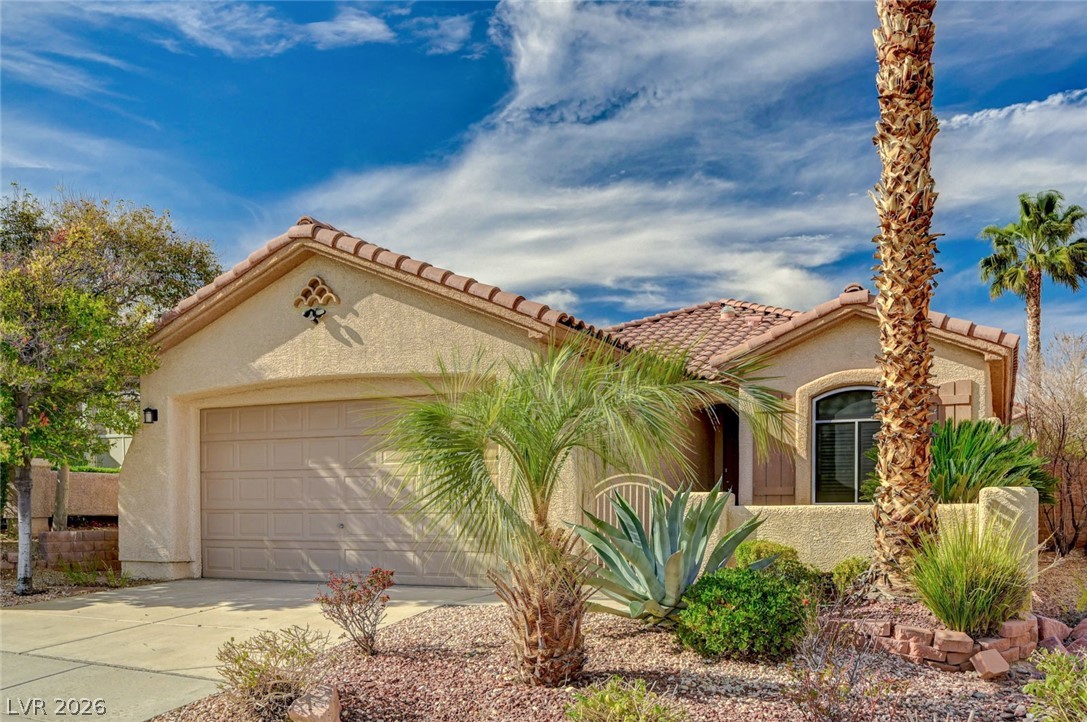 10932 Snow Cloud Court Las Vegas NV 89135
