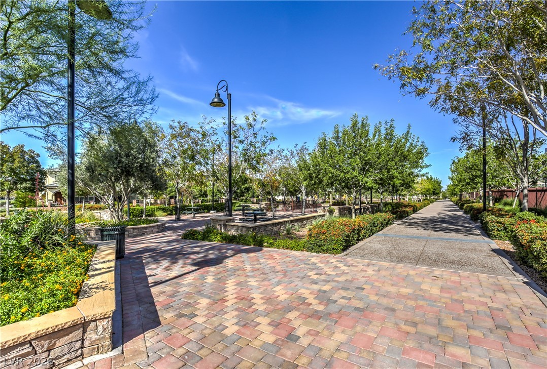 2089 Danzinger Place Henderson NV 89044