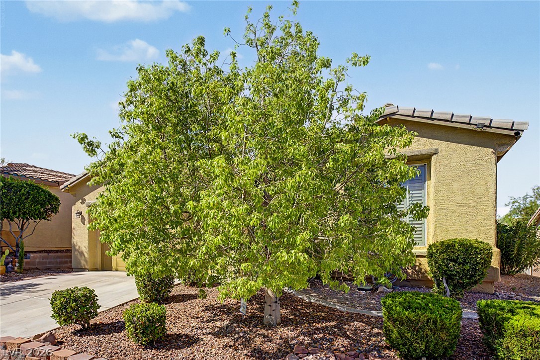 10512 Courtney Cove Avenue Las Vegas NV 89144