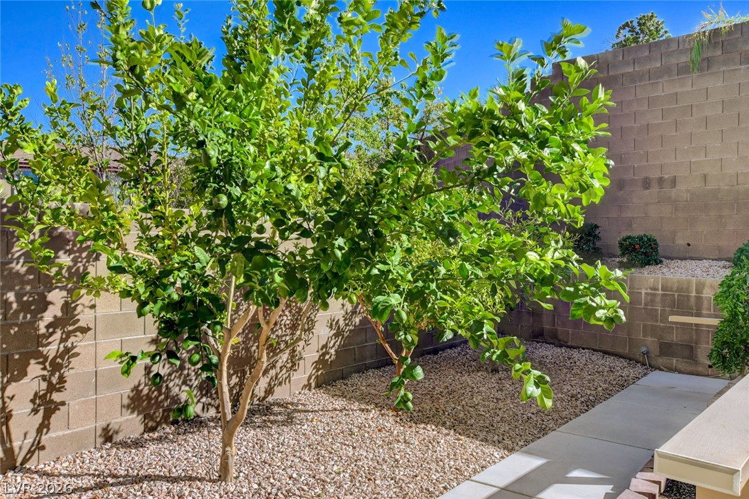 909 Cherry Glen Place Las Vegas NV 89138