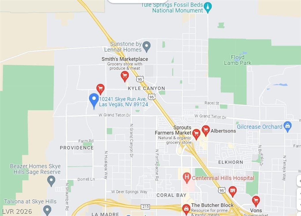 10241 Skye Run Avenue Las Vegas NV 89166